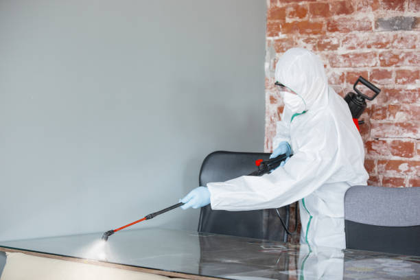 Best Mold Damage Restoration  in Sandoval, IL